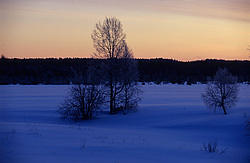 ����������� ��� ����, ����� ���������� , �������� ������� ( ����������� ������� ������������)