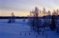 ����������� ��� ����, ����� ���������� , �������� ������� ( ����������� ������� ������������)