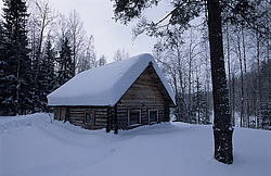 ����������� ������������ ����, ����� ����������, ������ �� ������� - ������������ ���������