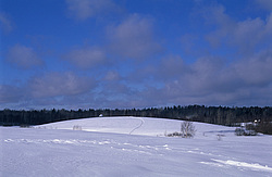 ��������, ������� ��������