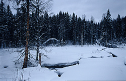 ����������� ������������ ����, ����� ����������, ������������������ �������  �������� �� ���� ����� � ������ ���������