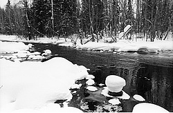 ����������� ������������ ����, ���� ��������