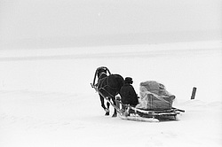 ��������, ������� ���������, ����� �����