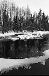 ����������� ������������ ����, ���� ��������