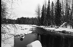 ����������� ������������ ����, ���� ��������