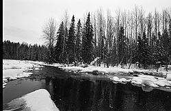 ����������� ������������ ����, ���� ��������