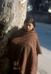 �������� ��������� �����