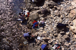 �������� ��������� �����