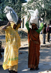 �������� ��������� �����