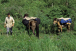 ��������� �������, ������������� �����, ������� ������, ������ ����������, ����� ��������, ���������� 54�05, 26-097�17, 5