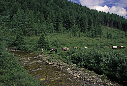 ��������� �������, ������������� �����, ������� ������, ������ ����������, ����� ��������, ���������� 54�05, 26-097�17, 5