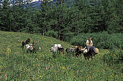 ��������� �������, ������������� �����, ���������, ������ ���� ������