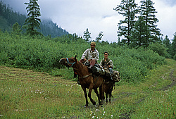 ��������� �������, ������������� �����, ���������, ������ ���� ������