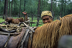 ��������� �������, ������������� �����, ���������, ������ ���� ������