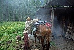 ��������� �������, ������������� �����, ���������, ������ ���� ������