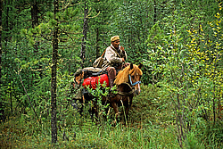 ��������� �������, ������������� �����, ���������, ������ ���� ������