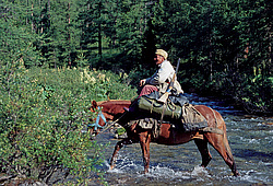 ��������� �������, ������������� �����, ���������, �������� ���� ������