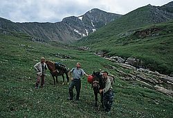 ��������� �������, ������������� �����, ���������, ������� ������ - ����� �����