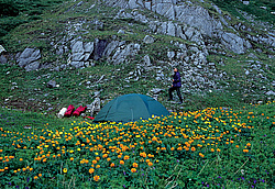 ��������� �������, ������������� �����, ���������, ����� � ������� ������, ���������� 54�04, 4�. �. -096�14, 6�. �