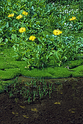 ��������� �������, ������������� �����, ���������, ����� � ������� ������, ���������� 54�04, 4�. �. -096�14, 6�. �