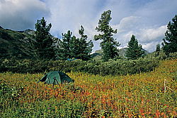 ��������� �������, ������������� �����, ���������, ������ ���� ������ �����