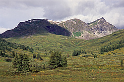 ��������� �������, ������������� �����, ���������, ������ ���� ������ �����