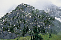 ������������ ����, ���������, ������ ���� ������ �������