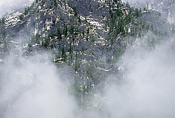 ������������ ����, ���������, ������ ���� ������ �������