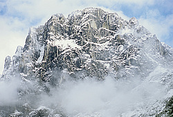 ������������ ����, ���������, ������ ���� ������ �������