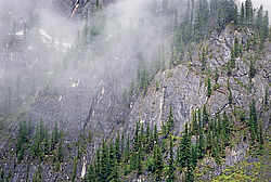 ������������ ����, ���������, ������ ���� ������ �������