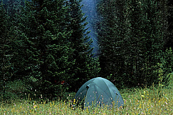 ������������ ����, ���������, ������ ���� ��������