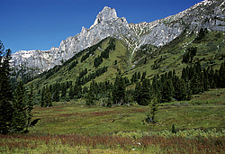 ��������� �������, ������������� �����, ���������, ������ ���� �������