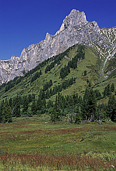 ��������� �������, ������������� �����, ���������, ������ ���� �������