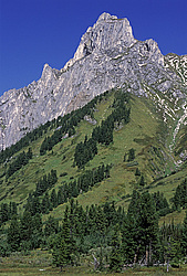 ��������� �������, ������������� �����, ���������, ������ ���� �������