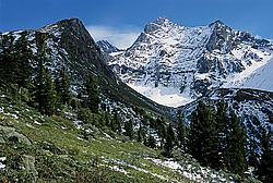 ��������� �������, ������������� �����, ���������, ������ ���� �������