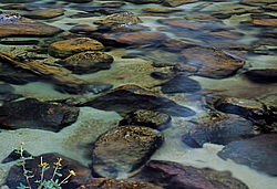 ��������� �������, ������������� �����, ���������, �������� ���� ������� ����, ���������� 54�06, 8�. �. -096�08, 4�. �