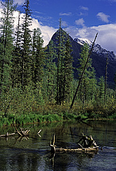 ��������� �������, ������������� �����, ���������, �������� ���� ������� ����, ���������� 54�06, 8�. �. -096�08, 4�. �