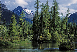 ��������� �������, ������������� �����, ���������, �������� ���� ������� ����, ���������� 54�06, 8�. �. -096�08, 4�. �