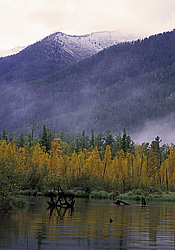 ��������� �������, ������������� �����, ���������, ��������� �����, ������� �����