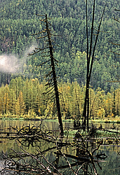 ��������� �������, ������������� �����, ���������, ��������� �����, ������� �����