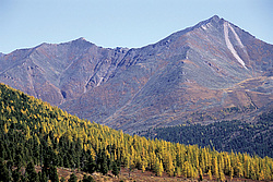 ��������� �������, ������������� �����, ���������, �������� ���� ������