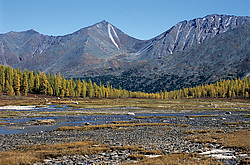 ��������� �������, ������������� �����, ���������, �������� ���� ������