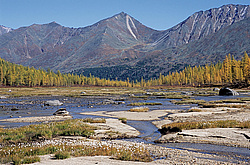 ��������� �������, ������������� �����, ���������, �������� ���� ������