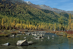 ��������� �������, ������������� �����, ���������, �������� ���� ������