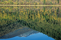 ��������� �������, ������������� �����, ���������, �������� ���� ������, ׸���� �����