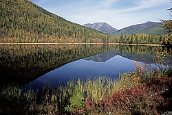 ��������� �������, ������������� �����, ���������, �������� ���� ������, ׸���� �����