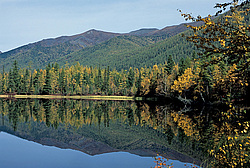 ��������� �������, ������������� �����, ���������, �������� ���� ������, ׸���� �����