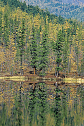 ��������� �������, ������������� �����, ���������, �������� ���� ������, ׸���� �����