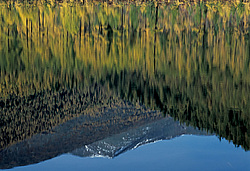 ��������� �������, ������������� �����, ���������, �������� ���� ������, ׸���� �����