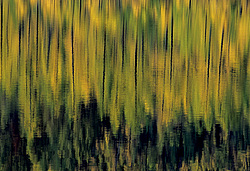 ��������� �������, ������������� �����, ���������, �������� ���� ������, ׸���� �����